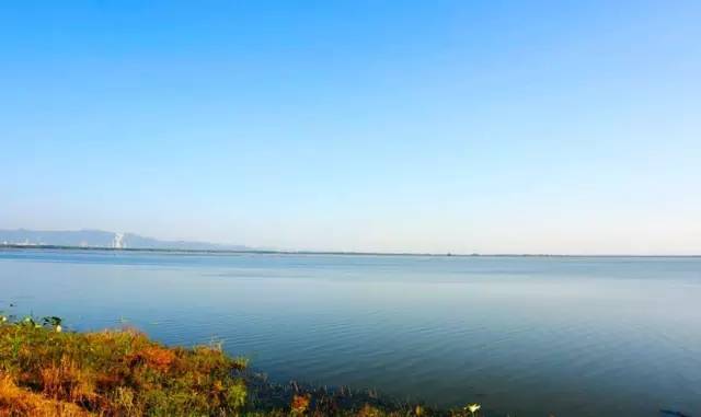 樅陽(yáng)陳瑤湖鎮(zhèn)，發(fā)展與變化的交匯點(diǎn)——最新動(dòng)態(tài)解析