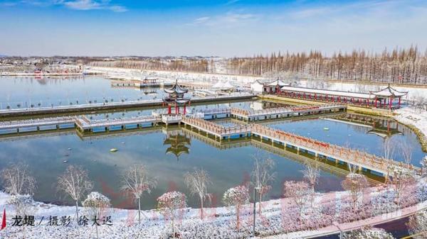 光山濕地公園最新動態(tài)更新，最新消息匯集