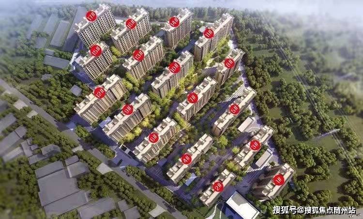 白君堂最新動態(tài)，技能提升與任務(wù)完成指南