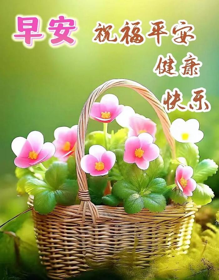 最新早上好圖片 2025年問候圖片分享