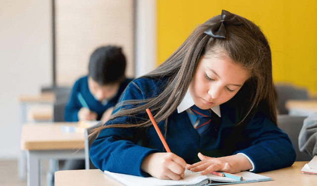 瀘州學(xué)校打人事件最新消息，深度分析與觀點(diǎn)闡述