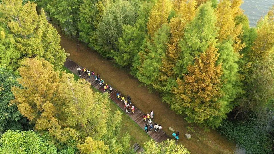 至正股份最新動態(tài)，變化中的機遇與挑戰(zhàn)下的自我超越之旅