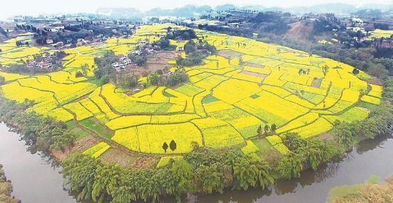 仁壽龍馬規(guī)劃最新動態(tài)及步驟指南揭秘