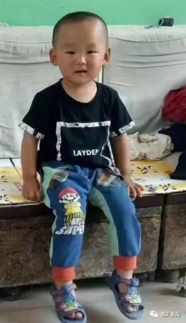 臨沂失蹤男孩最新消息，自然之旅中的心靈覺醒探尋??