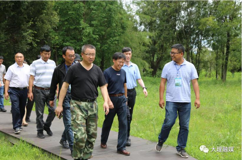 大理洱海治理最新動態(tài)，堅定守護(hù)藍(lán)色明珠的步伐