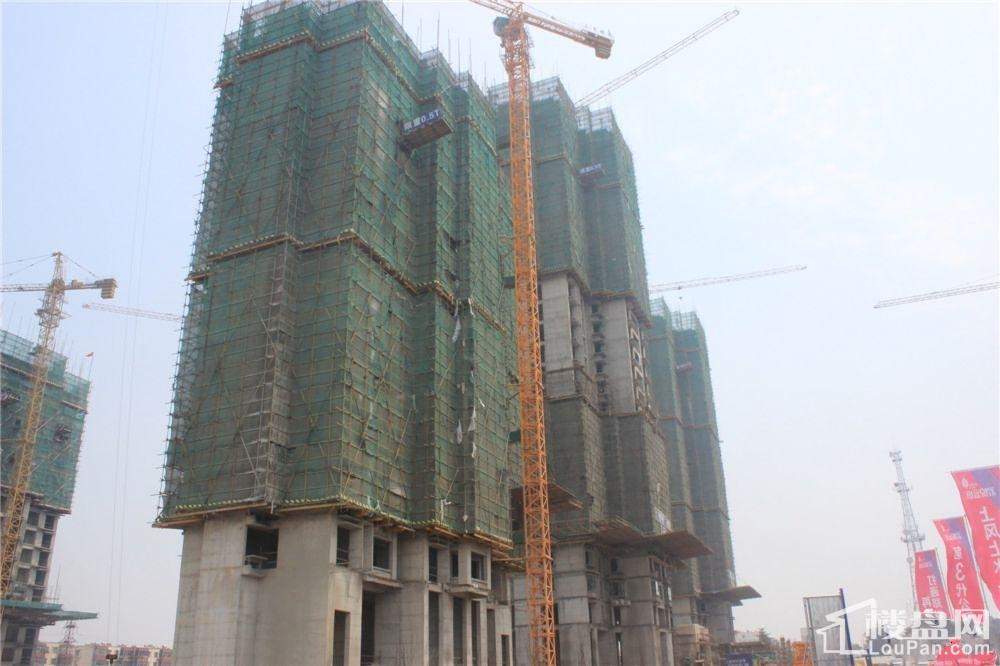 洛陽君悅藍庭最新動態(tài)揭秘?