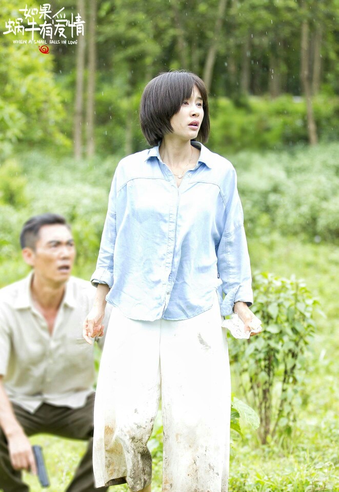 王子文電視劇最新作品全面解讀與觀點(diǎn)闡述