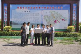 太谷一線最新新聞報道匯總