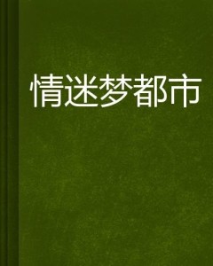 情迷都市最新章節(jié)揭秘，小巷深處的秘密小店