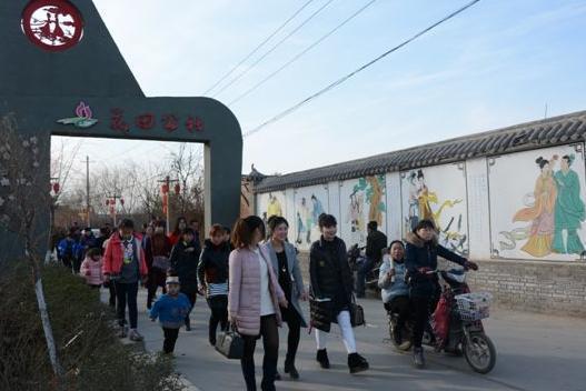 興平花田公社，花田趣事與家的溫馨時光最新報道