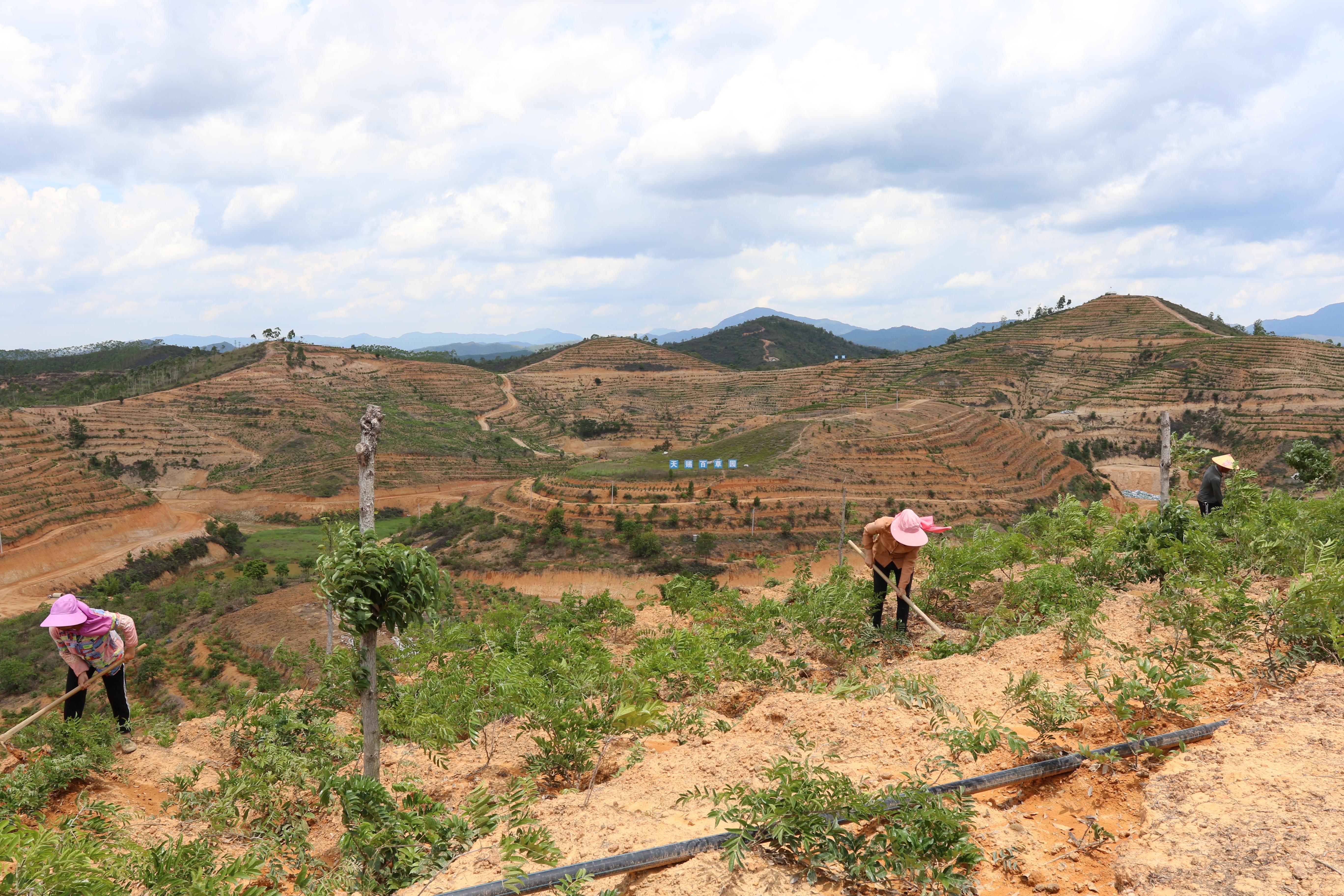 河源高速車禍最新動(dòng)態(tài)，變化帶來的自信與成就感