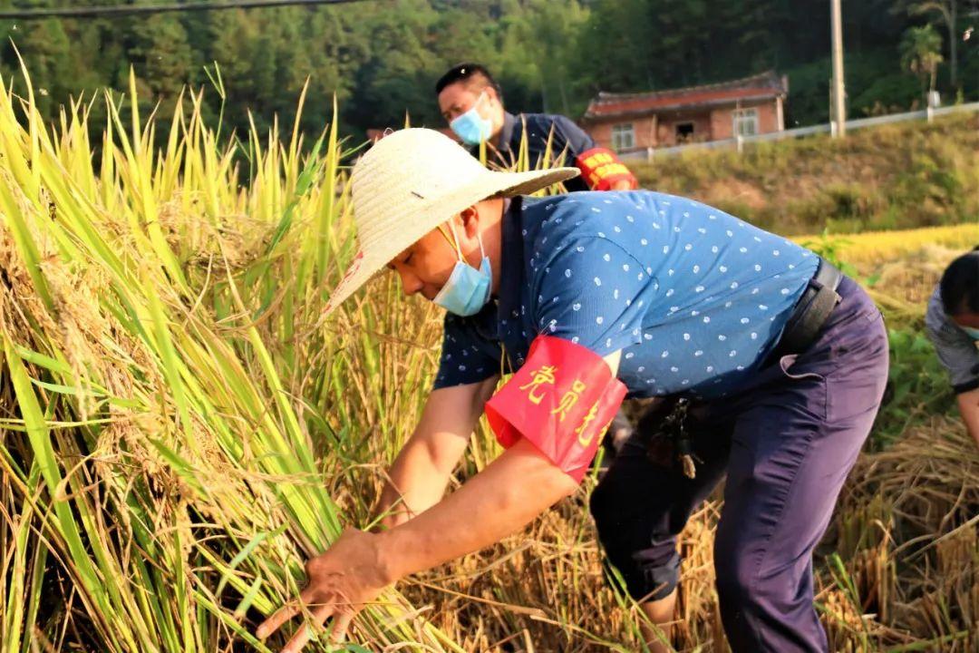 仙游城關(guān)招聘最新動(dòng)態(tài)，熱門職業(yè)發(fā)展與機(jī)遇揭秘
