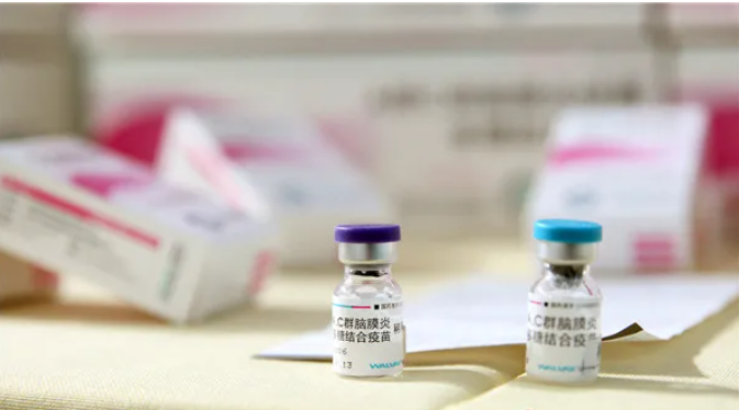 2025疫苗事件最新進展，小巷深處的守護與獨特邂逅