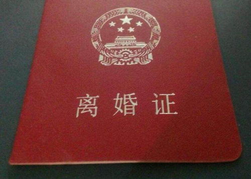 香港人開(kāi)單身證明最新流程揭秘，小巷特色小店里的故事