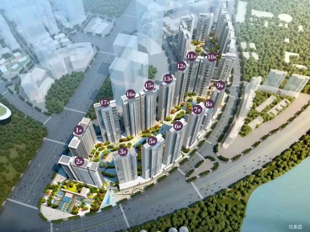 泉州洛江中源領第最新日常趣事概覽