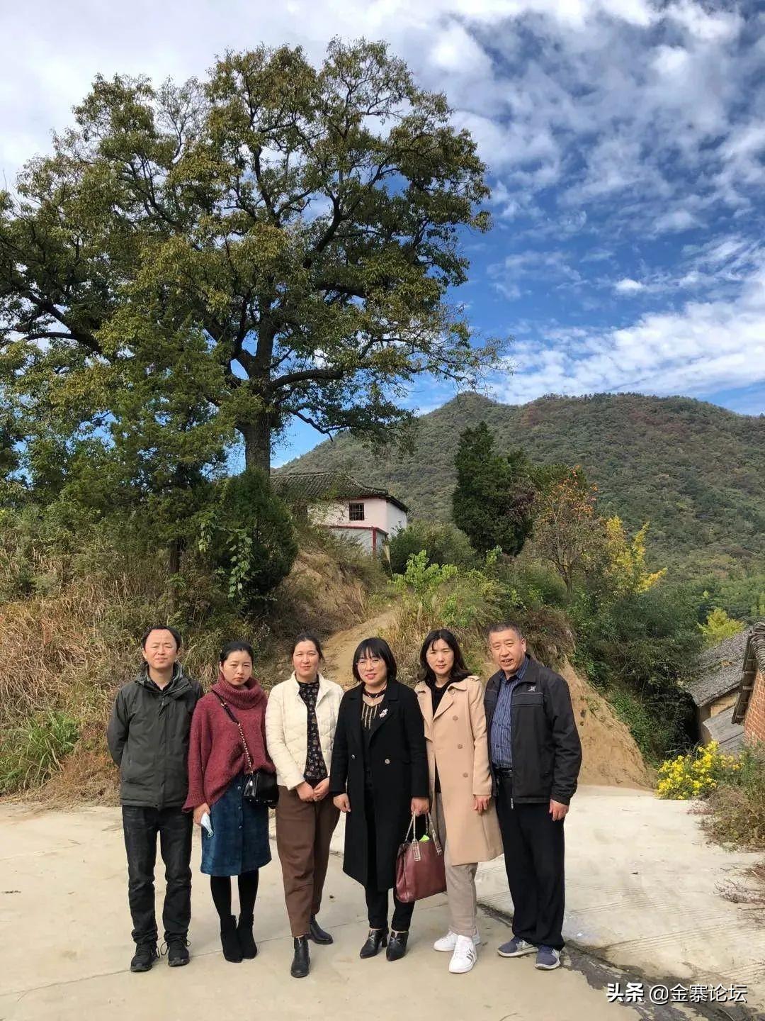 江西泰和南溪車禍事件最新報道及分析