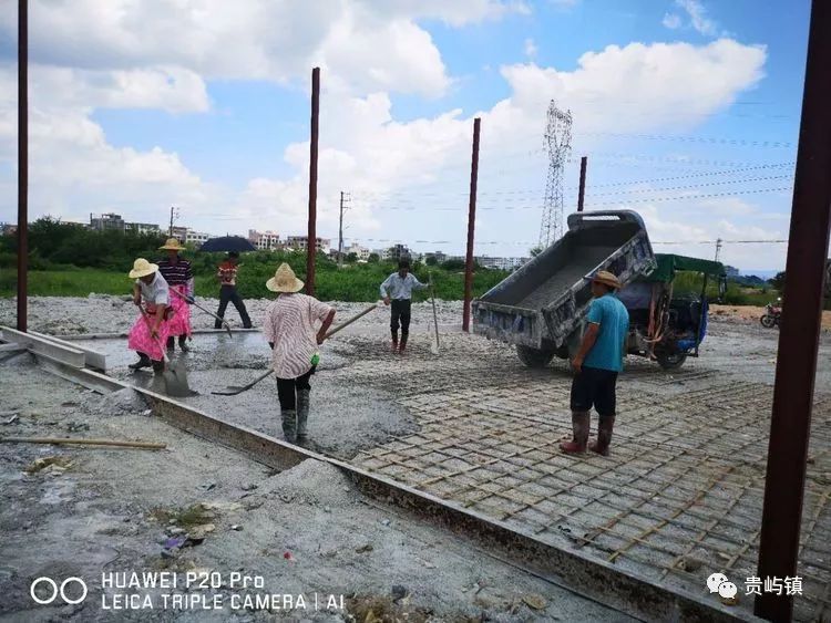 貴嶼仙馬最新事件揭秘