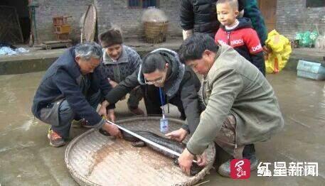 閬中構(gòu)溪河最新動(dòng)態(tài)，環(huán)境與發(fā)展的雙重考量