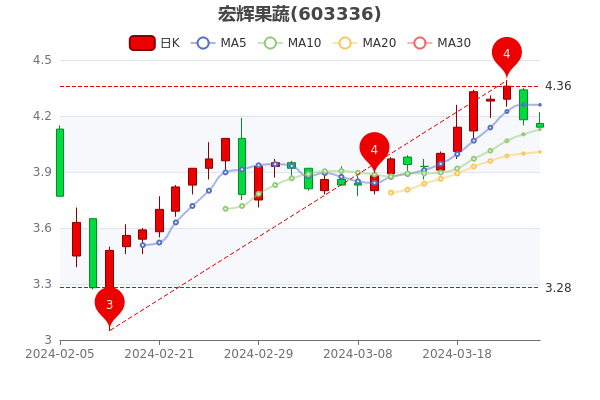最新宏輝果蔬股價預(yù)測分析，未來走勢展望