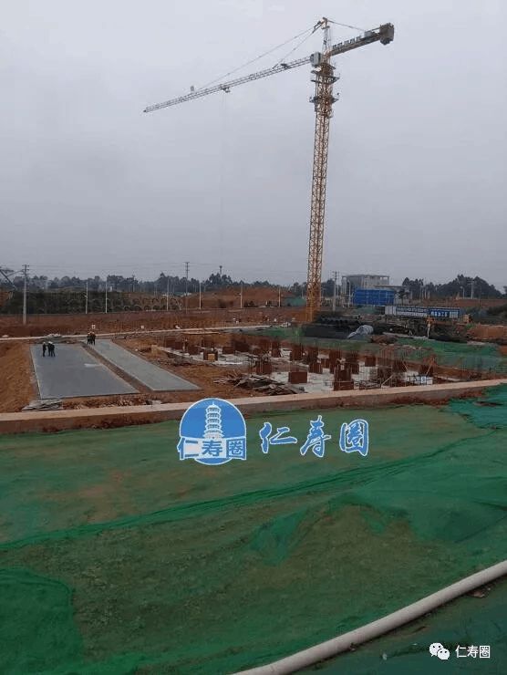 仁壽觀寺最新動態(tài)，小巷中的隱藏瑰寶