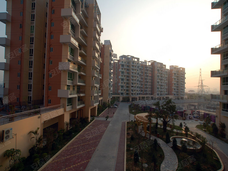 順欣花園最新消息獲取指南，最新動態(tài)一網(wǎng)打盡！