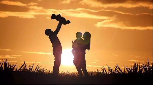 社會(huì)撫養(yǎng)費(fèi)的最新動(dòng)態(tài)，心靈與自然的奇妙旅程啟程