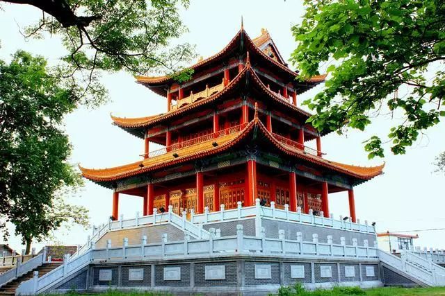 南京藏友閣最新動態(tài)，友情與寶藏的溫馨日常