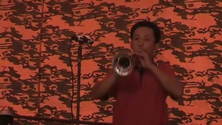 胡樹民嗩吶最新歌曲，傳統(tǒng)與現(xiàn)代的完美交融之我見