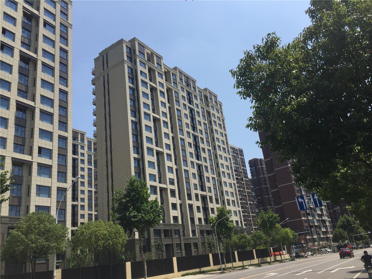 蘇州魯能公館最新動態(tài)，變化中的學習，成就感的源泉