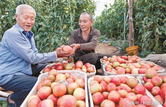 左權(quán)房屋出售最新消息揭秘，最新房源動(dòng)態(tài)與優(yōu)惠信息一網(wǎng)打盡！