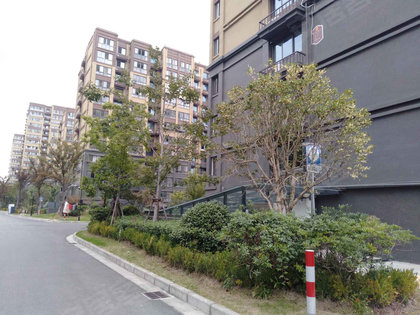 南通新華福里最新房價(jià)，自然美景中的心靈之旅與居住投資新選擇